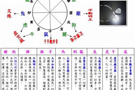 2003年五行属什么|2003 年出生属什么生肖